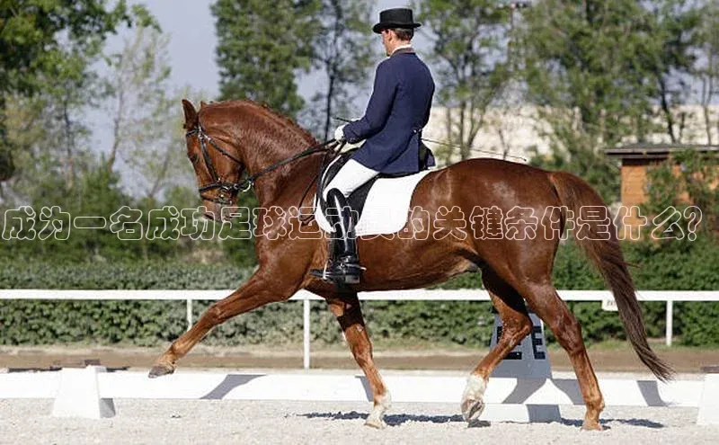 杏盛招商壹网壹创成为一名成功足球运动员的关键条件是什么？