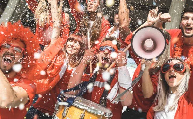 杏盛平台代理荣信文化泰安市体育足球运动学校：培养未来足球之星的摇篮