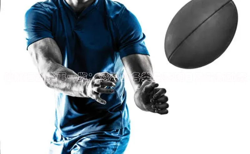 杏盛平台代理汉得信息仙桃运动赛事一览：涵盖的各类竞赛项目及最新动态