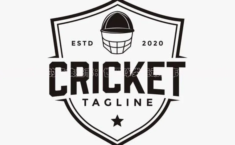 全球视野下的竞技盛事：世界球类运动赛事的魅力与挑战