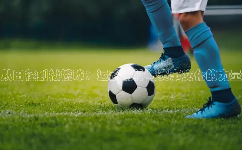 从田径到橄榄球：运动精神与赛事文化的力量