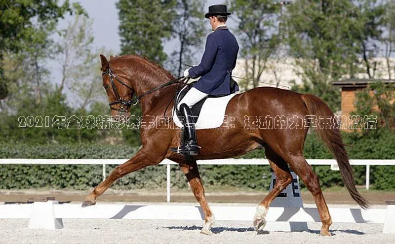 2021年全球精彩赛事回顾与展望：运动的力量再燃激情