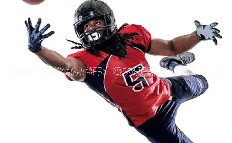 2024年度体育界盛事：各大赛事冠军盘点与分析