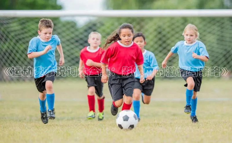 《运动赛事说词大全集：影像中的激情与策略》