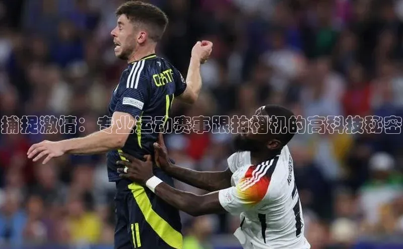 杏盛测速登录入口