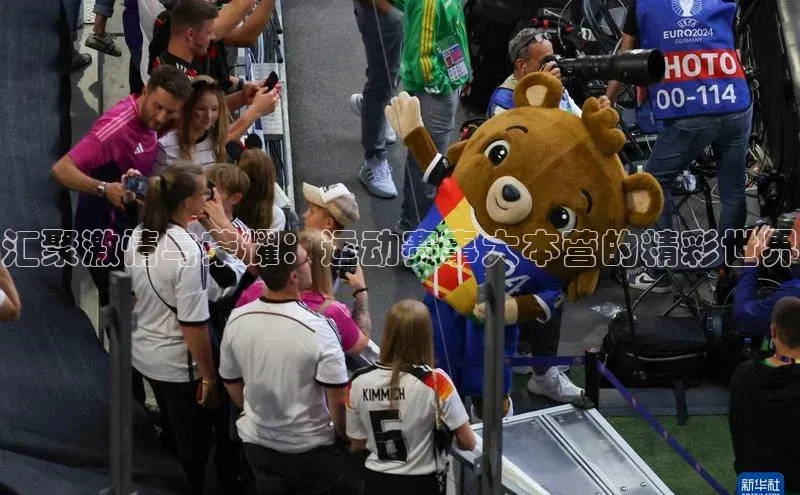 汇聚激情与荣耀：运动赛事大本营的精彩世界